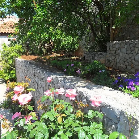 House Smajic בית הארחה 3*