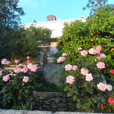 بيت ضيافة House Smajic 3*