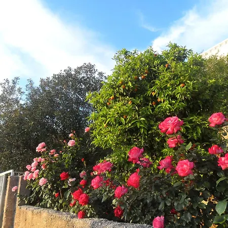 Gasthuis House Smajic