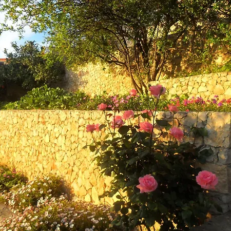 بيت ضيافة House Smajic