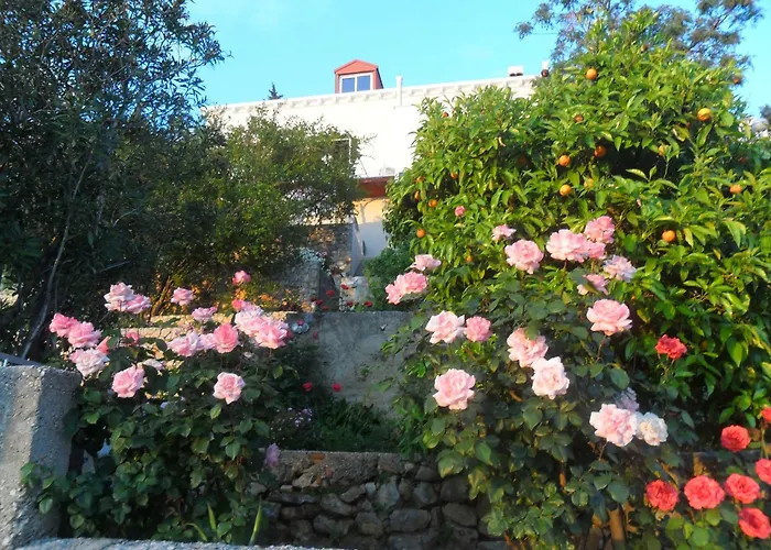 Guest house House Smajic 3*