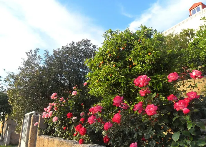 Guest house House Smajic